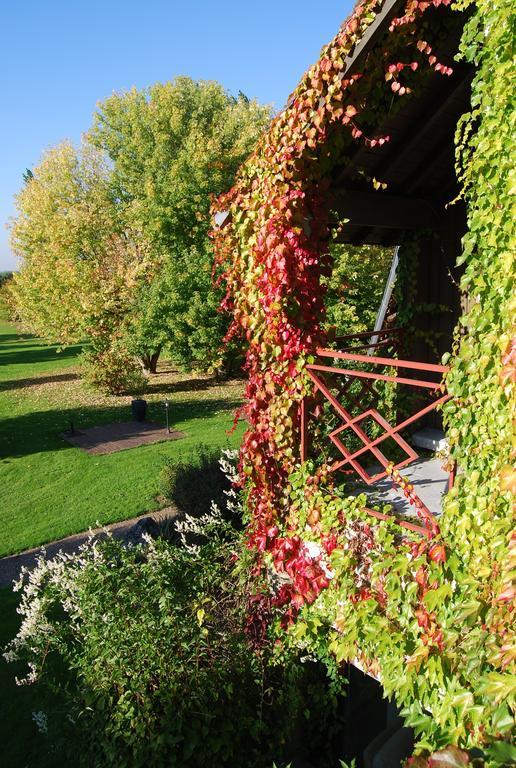 Domaine De L'Arbrelle Hotel Amboise Exterior photo